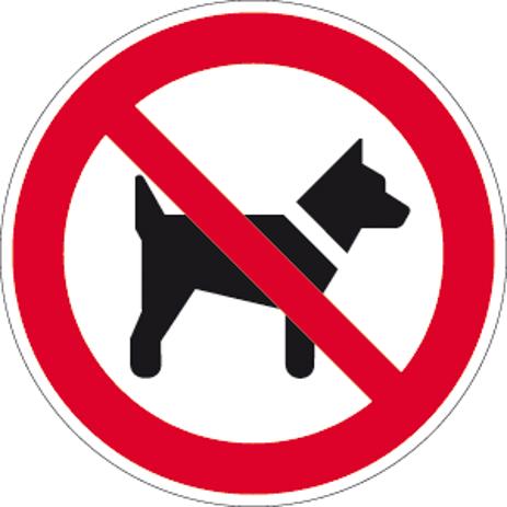 Verbotsschild für Hunde - Mitführen Verboten | ISO 7010 | Aluminium | Ø 315 mm